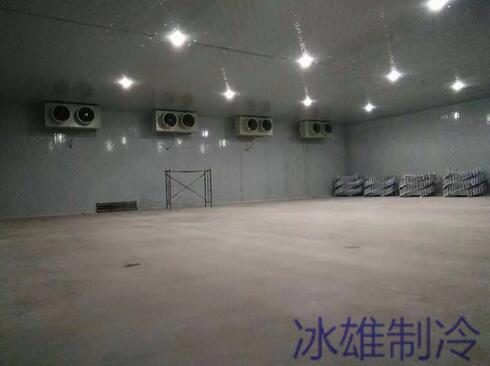 冷庫設(shè)備如何重要，改如何正確的維修呢？